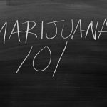 Northern Michigan University Offering Degree focused on Marijuana shutterstock 563656009