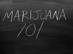 Northern Michigan University Offering Degree focused on Marijuana shutterstock 563656009