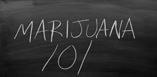 Northern Michigan University Offering Degree focused on Marijuana shutterstock 563656009