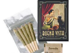 Buena Vista Pre-Rolls Buena Vista PreRolls 1 clip web e1510700377162