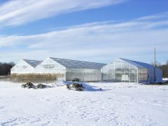 Winterizing Your Cannabis Greenhouse Gutter Connect OG with Connected Shop