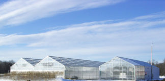 Winterizing Your Cannabis Greenhouse Gutter Connect OG with Connected Shop