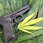 Hawaii Police Order Medical Marijuana Patients to Turn Over Their Guns Hawaii marijuana guns