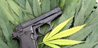 Hawaii Police Order Medical Marijuana Patients to Turn Over Their Guns Hawaii marijuana guns