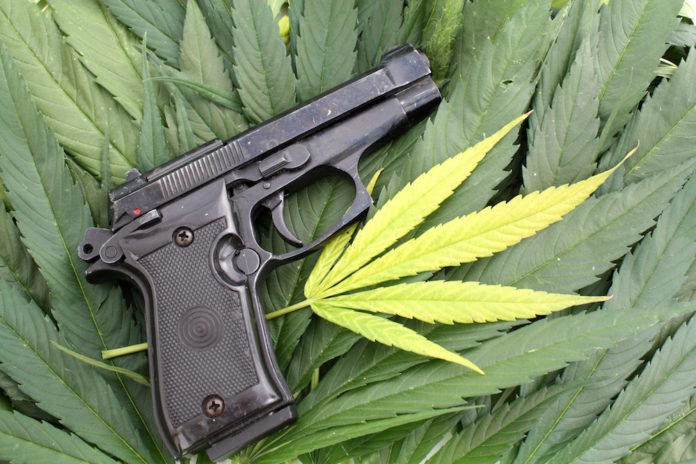 Hawaii marijuana guns