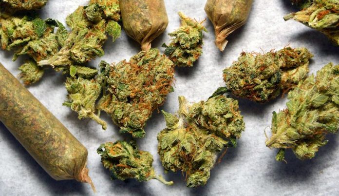 Marijuana New Jersey Legalization e1510170414246