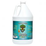 Primordial Solutions Sea Green Primordial Solutions Sea Green 1 clip web