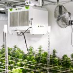 Quest Unveils new unit at 2017 MJBizCon in Las Vegas Quest 506