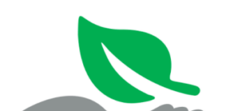 GB Sciences Exceeds Its Gross Revenue Projections for October, Doubles the Industry Average Yield Per Active Flower Light Screen Shot 2017 11 15 at 1.08.22 PM