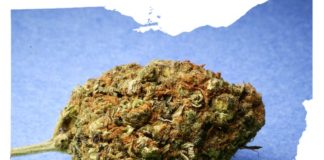 Ohio Announces First Medical Marijuana Grow License Recipients ohio e1509734143862