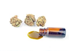 FDA Targets Companies Claiming Marijuana Can Treat Cancer shutterstock 266451137