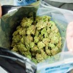 California Authorities Release Regulations for Marijuana Sales shutterstock 607978961