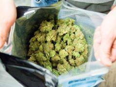 Los Angeles City Council Approves new Recreational Marijuana Regulations shutterstock 607978961