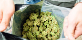 California Authorities Release Regulations for Marijuana Sales shutterstock 607978961