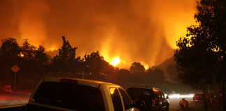 NorCal Fire Victims Can’t Get Crowdfunded, Because Cannabis shutterstock 61006123 web