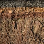 Top “Soilmeliers” Dish the Dirt on the State of Soil for Marijuana Growers soil layers 244376575 web