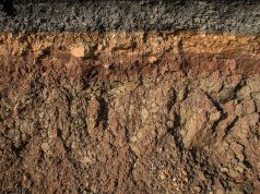 Top “Soilmeliers” Dish the Dirt on the State of Soil for Marijuana Growers soil layers 244376575 web