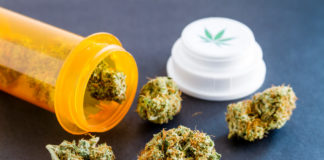 CBD May Hold Hope for Psychosis Treatment