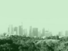 Los Angeles Dispensaries Quiet On The Surface