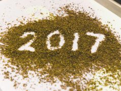 2017: A Year in Review for Cannabis Marijuana 2017 Year in Review