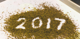 2017: A Year in Review for Cannabis Marijuana 2017 Year in Review