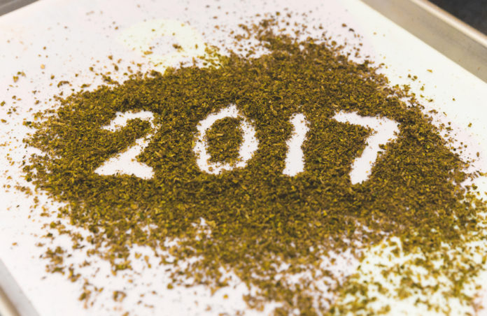 Marijuana 2017 Year in Review