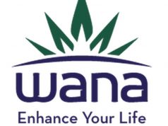 Wana Brands logo 4 web e1513815180777