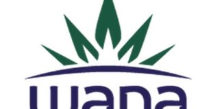 Long Distance Runner Flavie Dokken Goes the Extra Mile with Wana Brands Wana Brands logo 4 web e1513815180777