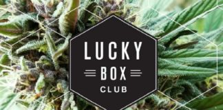 Members-Only Cannabis Subscription Service Launches in Sacramento