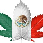 Certain Marijuana Products to be Legalized in Mexico shutterstock 120387052