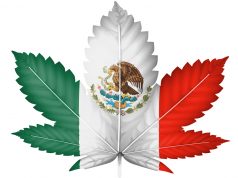 Certain Marijuana Products to be Legalized in Mexico shutterstock 120387052