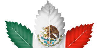 Certain Marijuana Products to be Legalized in Mexico shutterstock 120387052
