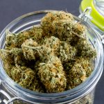 First Recreational Marijuana License Issued in California shutterstock 301537904