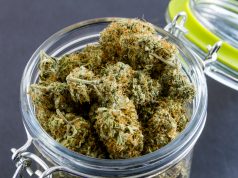 First Recreational Marijuana License Issued in California shutterstock 301537904