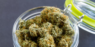 First Recreational Marijuana License Issued in California shutterstock 301537904
