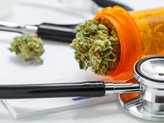 Michigan Governor Signs off on Emergency Medical Marijuana Rules shutterstock 488508634 e1512422936470