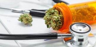 Michigan Governor Signs off on Emergency Medical Marijuana Rules shutterstock 488508634 e1512422936470