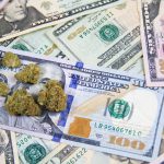 Could GOP Tax Reform Bill Encourage States to Legalize Marijuana? shutterstock 526594918