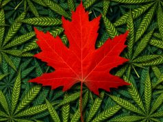 Canadians Spend About as Much on Marijuana as They do on Wine shutterstock 559360924 e1513802908705