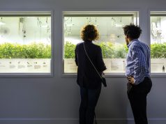 Vela is Elevated in Seattle vela 5313 cc web 1