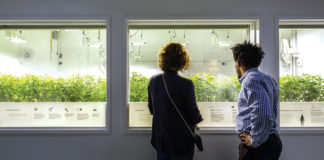 Vela is Elevated in Seattle vela 5313 cc web 1