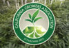 California Growers Association Files Lawsuit Against State Over Large Cannabis Farms