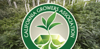 California Growers Association Files Lawsuit Against State Over Large Cannabis Farms