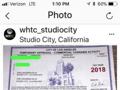 Los Angeles Area Marijuana Dispensaries Finally Starting to Get Licenses Image 1