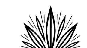 Bloom Farms Granted California Temporary Cannabis Manufacturing and Distribution Licenses Screen Shot 2018 01 02 at 5.25.25 PM