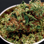 Vermont Lawmakers Move Toward Marijuana Legalization Despite Sessions’ Move Screen Shot 2018 01 05 at 2.09.25 PM