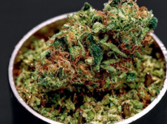 Vermont Lawmakers Move Toward Marijuana Legalization Despite Sessions’ Move Screen Shot 2018 01 05 at 2.09.25 PM