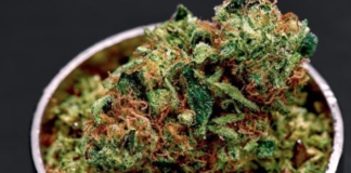 Vermont Lawmakers Move Toward Marijuana Legalization Despite Sessions’ Move Screen Shot 2018 01 05 at 2.09.25 PM