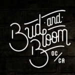 Bud and Bloom Dispensary Receives License