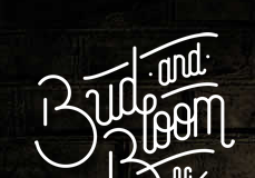 Bud and Bloom Dispensary Receives License